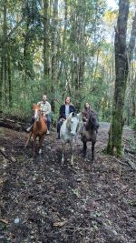 Cabalgatas por la patagonia - Imagen 6
