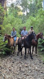 Cabalgatas por la patagonia - Imagen 4