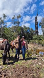 Cabalgatas por la patagonia - Imagen 2