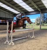 Clases de Equitacion : Primeros acercamientos, nivel basico y avanzado.
