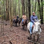 Cabalgatas por la patagonia