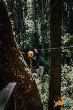 Canopy 2k - Canopy Chile - Imagen 3