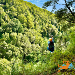 Canopy 2k - Canopy Chile