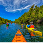 Kayak Rio Maullín – Dia Completo