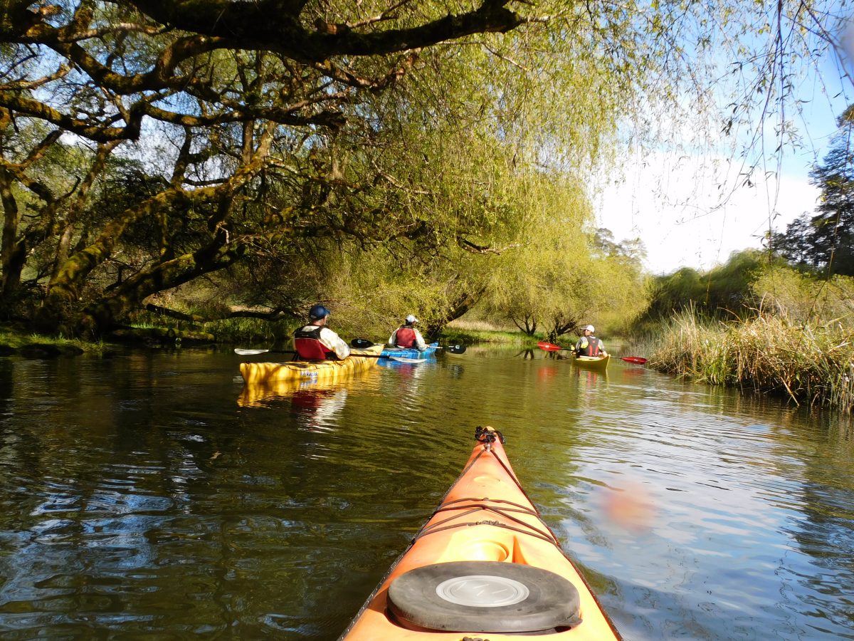 KAYAK 1/2 DIA LAGUNA LA POZA