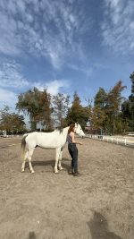 Coaching con Caballos - Fortaleciendo Vínculos - Imagen 4