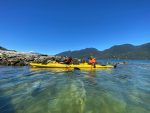 EXPEDICION KAYAK/TREKKING 4 DIAS ESTUARIO RELONCAVI - Imagen 2