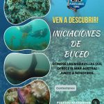 Primera Experiencia de Buceo
