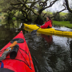 Kayak & SUP medio día Puerto Varas – La Poza