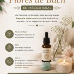 TERAPIA CUERPO Y MENTE (REIKI + FLORES DE BACH )