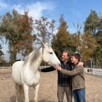 Dia del Padre - Fortaleciendo Vínculos - Coaching con Caballos