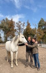 Dia del Padre - Fortaleciendo Vínculos - Coaching con Caballos