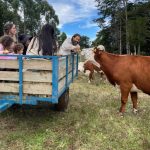 Visitas guiadas a la granja