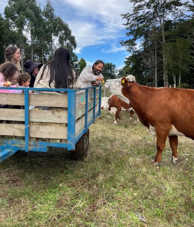 Visitas guiadas a la granja