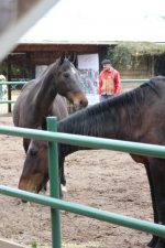 Dia del Padre - Fortaleciendo Vínculos - Coaching con Caballos - Imagen 5