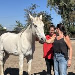 Coaching con Caballos - Fortaleciendo Vínculos