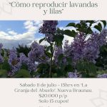 Taller: "Cómo reproducir lavandas y lilas"