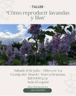 Taller: "Cómo reproducir lavandas y lilas"