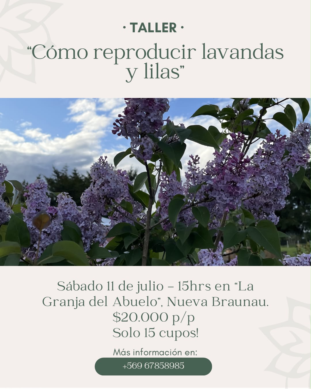 Taller: "Cómo reproducir lavandas y lilas"