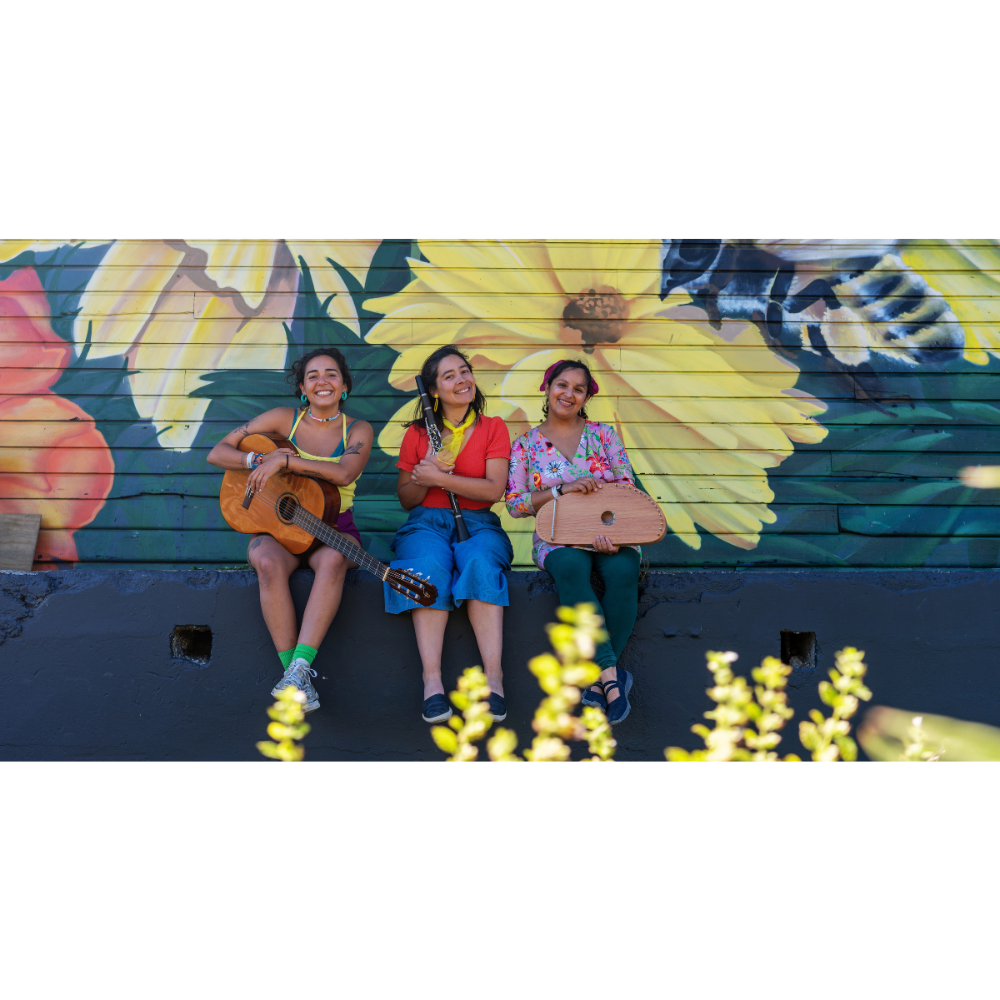 El Tiempo de la Semilla : Banda Golondrina
