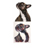 Acuarela de Mascota 40x50 (1 rostro)