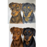 Acuarela de Mascota 40x50 (2 rostros)