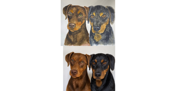 Acuarela de Mascota 40x50 (2 rostros)