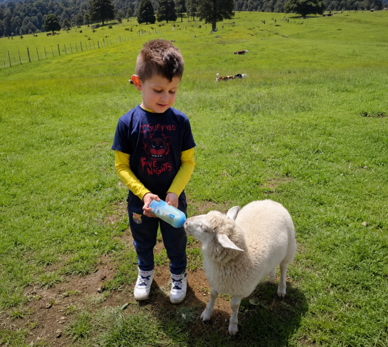 City Tour + Agroturismo
