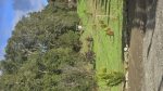 Cabañas Puerto Varas - Imagen 2