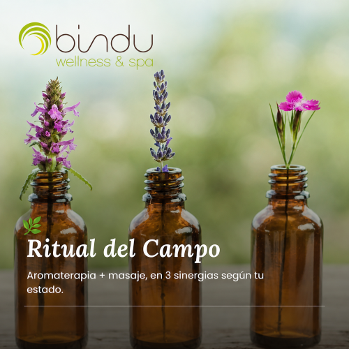 Ritual del campo 50 minutos.